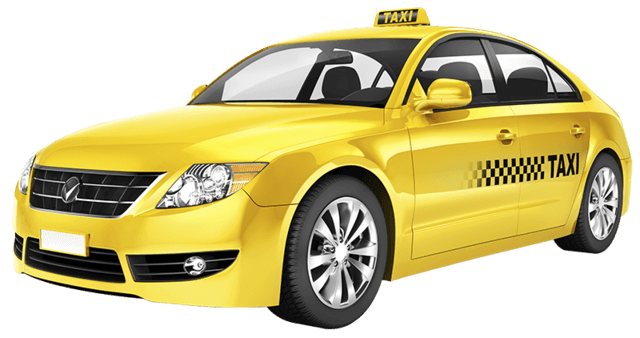 Chauffeur professionnel